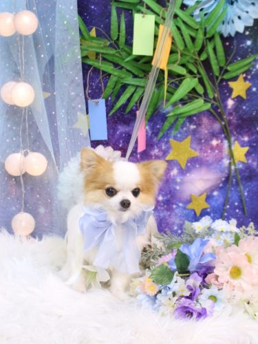 20250711りくくん